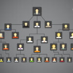 Family tree app: discover your family history!