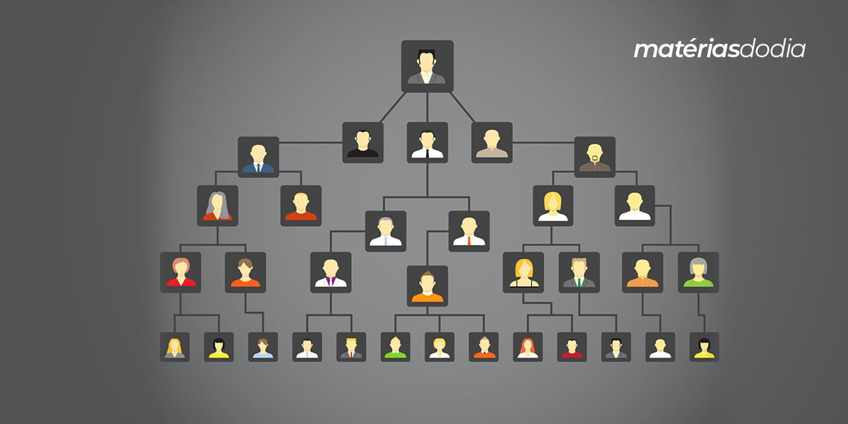 App árvore genealógica: descubra seu histórico familiar!